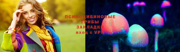 тгк Алексеевка