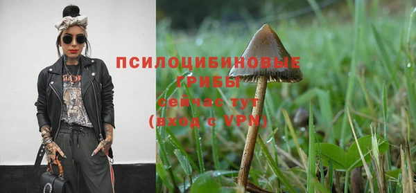 МДПВ Армянск