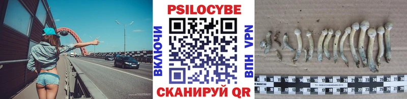 Галлюциногенные грибы MAGIC MUSHROOMS Кыштым