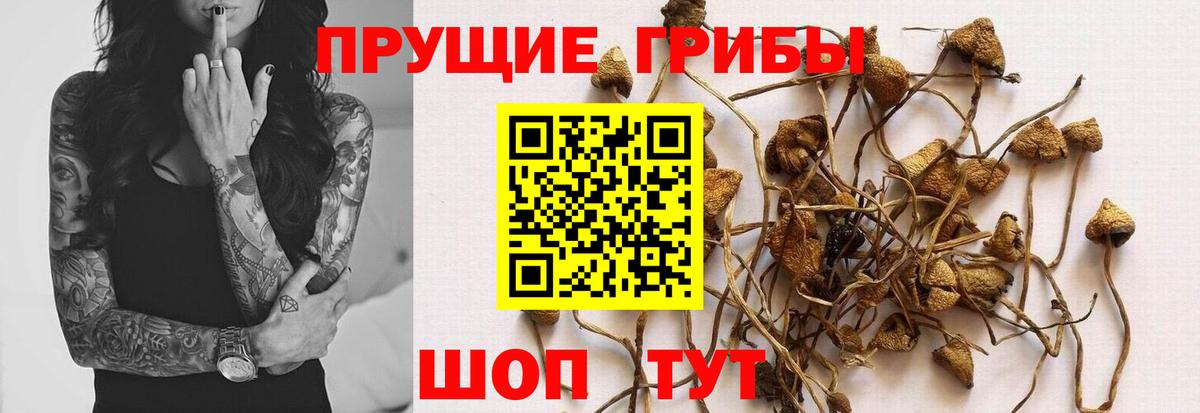 Псилоцибиновые грибы Magic Shrooms  Вход с VPN  купить закладку  Кыштым 